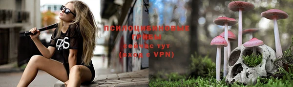 2c-b Белокуриха