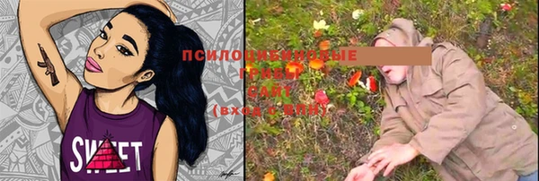 винт Переславль-Залесский