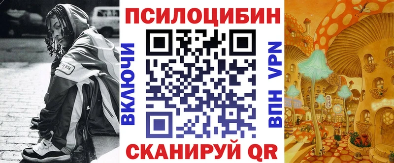магазин продажи наркотиков  Семикаракорск  Псилоцибиновые грибы мицелий 